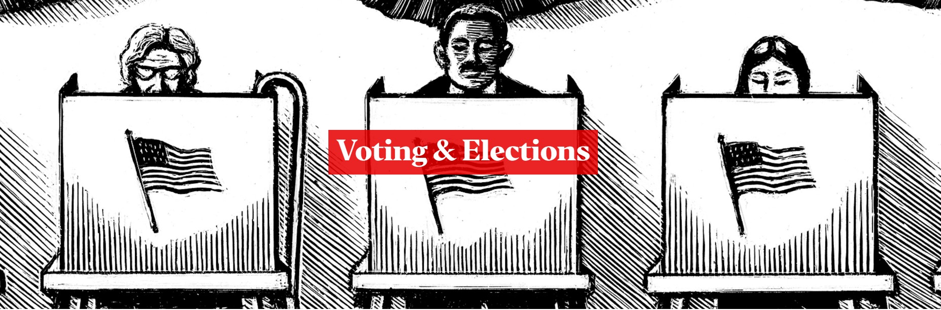 Voting and Elections